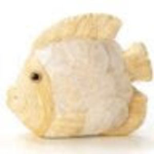 Meet your Posher, Lupe